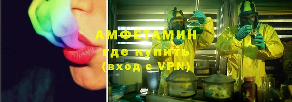 индика Гусиноозёрск