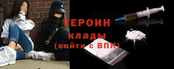 индика Гусиноозёрск