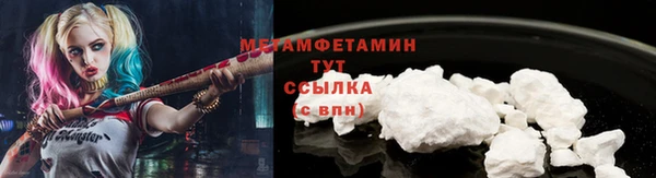 индика Горнозаводск