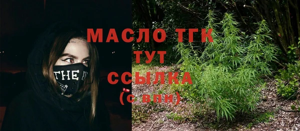 индика Гусиноозёрск