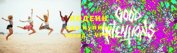 прущая мука Гусев