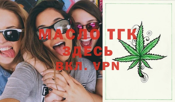 индика Горнозаводск