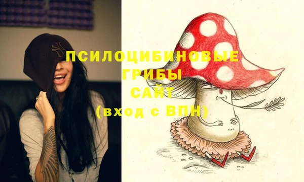 ECSTASY Вяземский