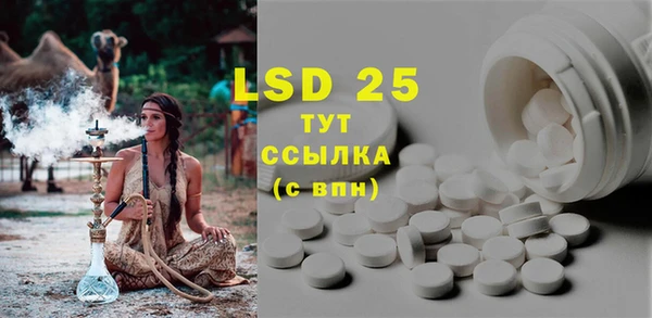 индика Гусиноозёрск