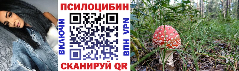 MEGA рабочий сайт  Джанкой  Псилоцибиновые грибы GOLDEN TEACHER 